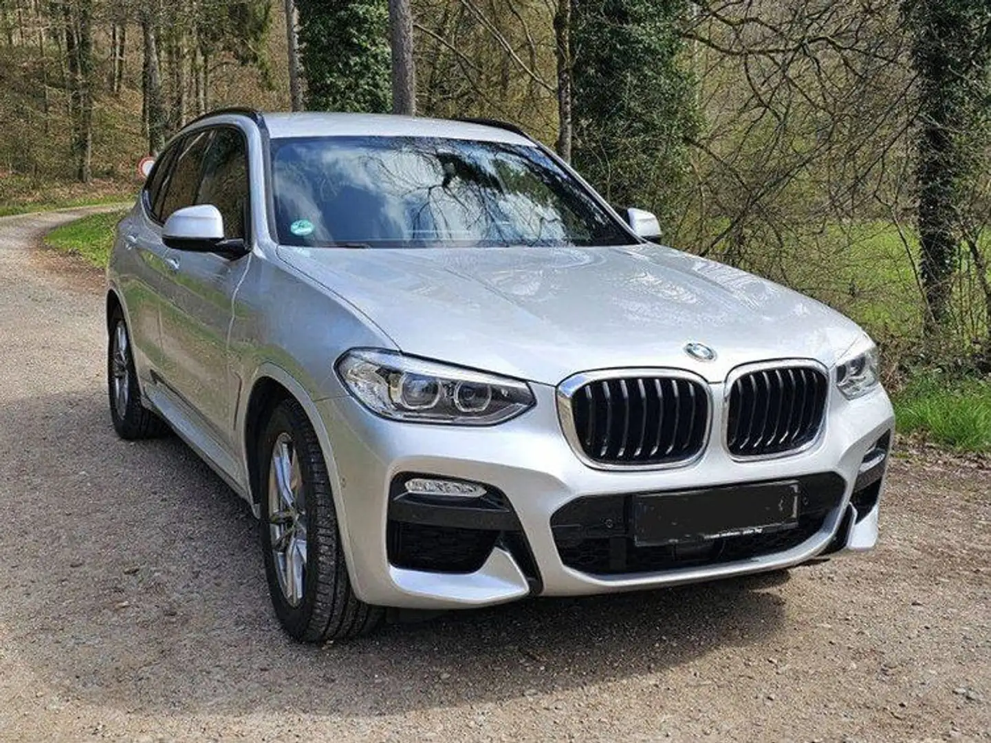 BMW X3 30d xDrive M SPORT Steptronic Zilver - 1