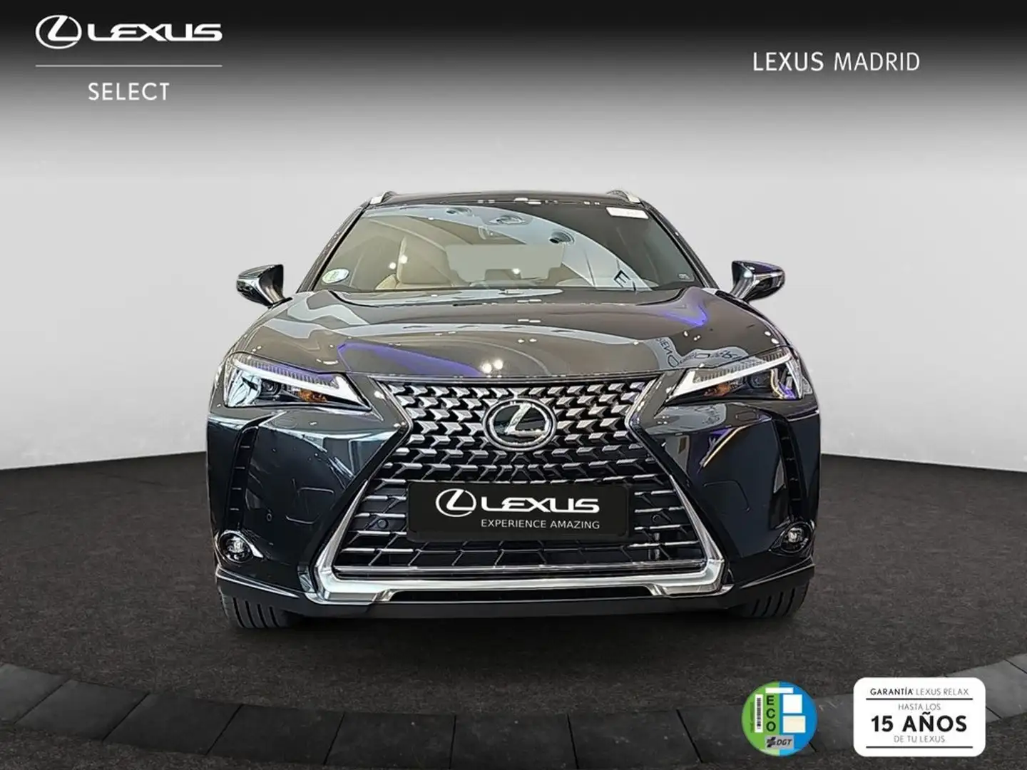 Lexus UX 300h 2.0  Plus Negro - 1