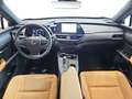 Lexus UX 300h 2.0  Plus Negro - thumbnail 10