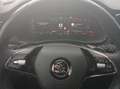 Skoda Octavia Combi 2.0 TDI RS Plus 4x4 AHK LED Navi Schwarz - thumbnail 12