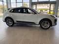 Porsche Macan 2.0 265 cv PDK - IVA Esposta Blanco - thumbnail 6