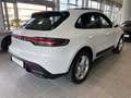 Porsche Macan 2.0 265 cv PDK - IVA Esposta Blanco - thumbnail 4