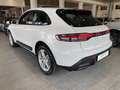 Porsche Macan 2.0 265 cv PDK - IVA Esposta Blanco - thumbnail 7