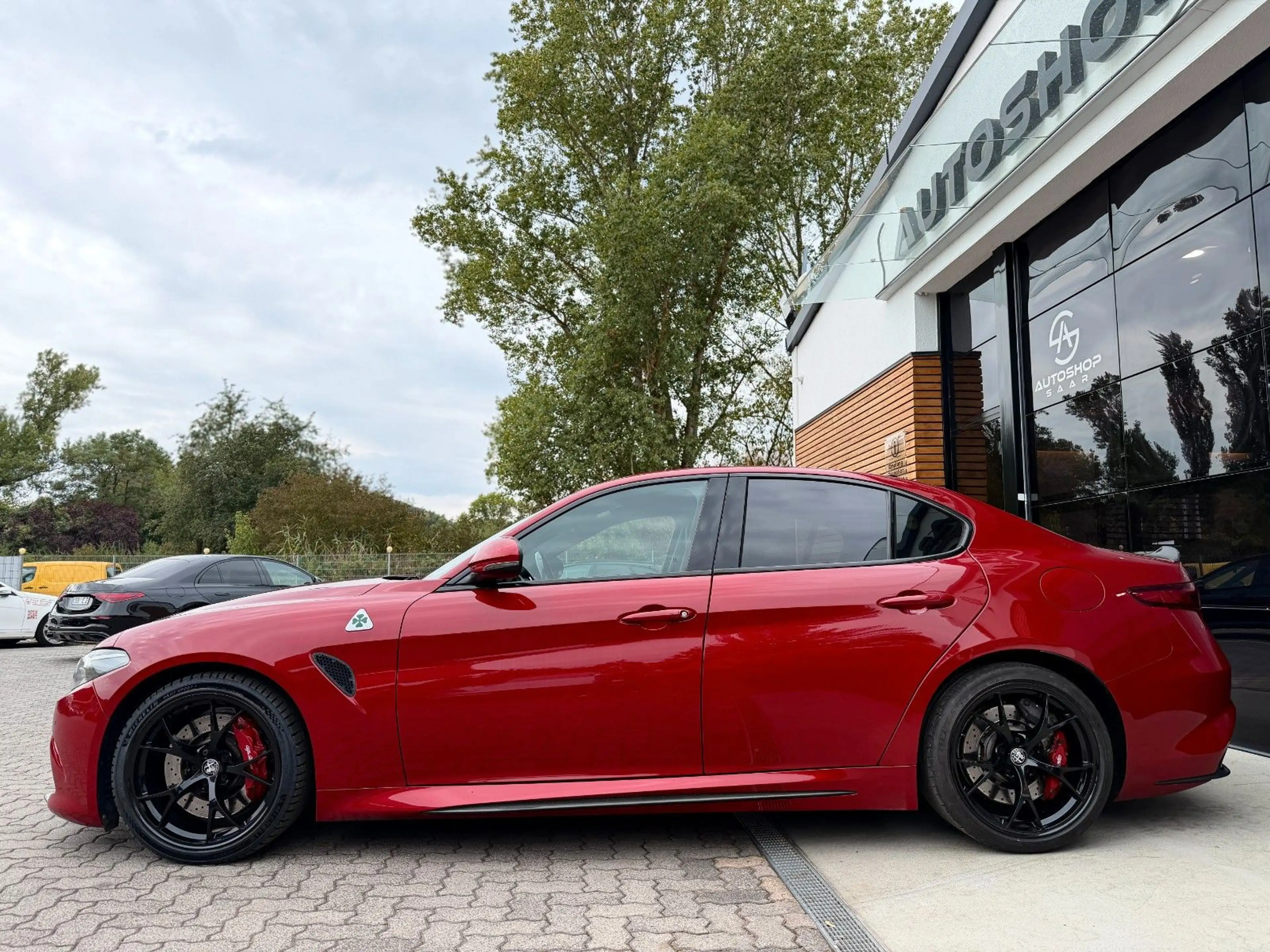 Alfa Romeo Giulia Quadrifoglio /19''Alu/Alcantara/Navi — photo 14