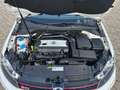 Volkswagen Golf GTI Golf VI GTI Cabriolet Dynaudio+GRA+Leder+LM+Sitz Weiß - thumbnail 22