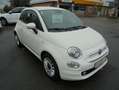 Fiat 500 Lounge Mild Hybrid+Alu+Allwetter Weiß - thumbnail 3