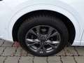 Ford Kuga 2,0 EcoBlue AWD ST-Line X Aut. Blanc - thumbnail 13