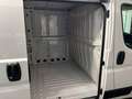 Fiat Ducato L1H1 30 120PS/KLIMA/PDC H/RADIO 88 kW (120 PS),... Weiß - thumbnail 12