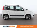 Fiat Panda 1.2 Lounge Bianco - thumbnail 7
