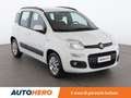 Fiat Panda 1.2 Lounge Bianco - thumbnail 8