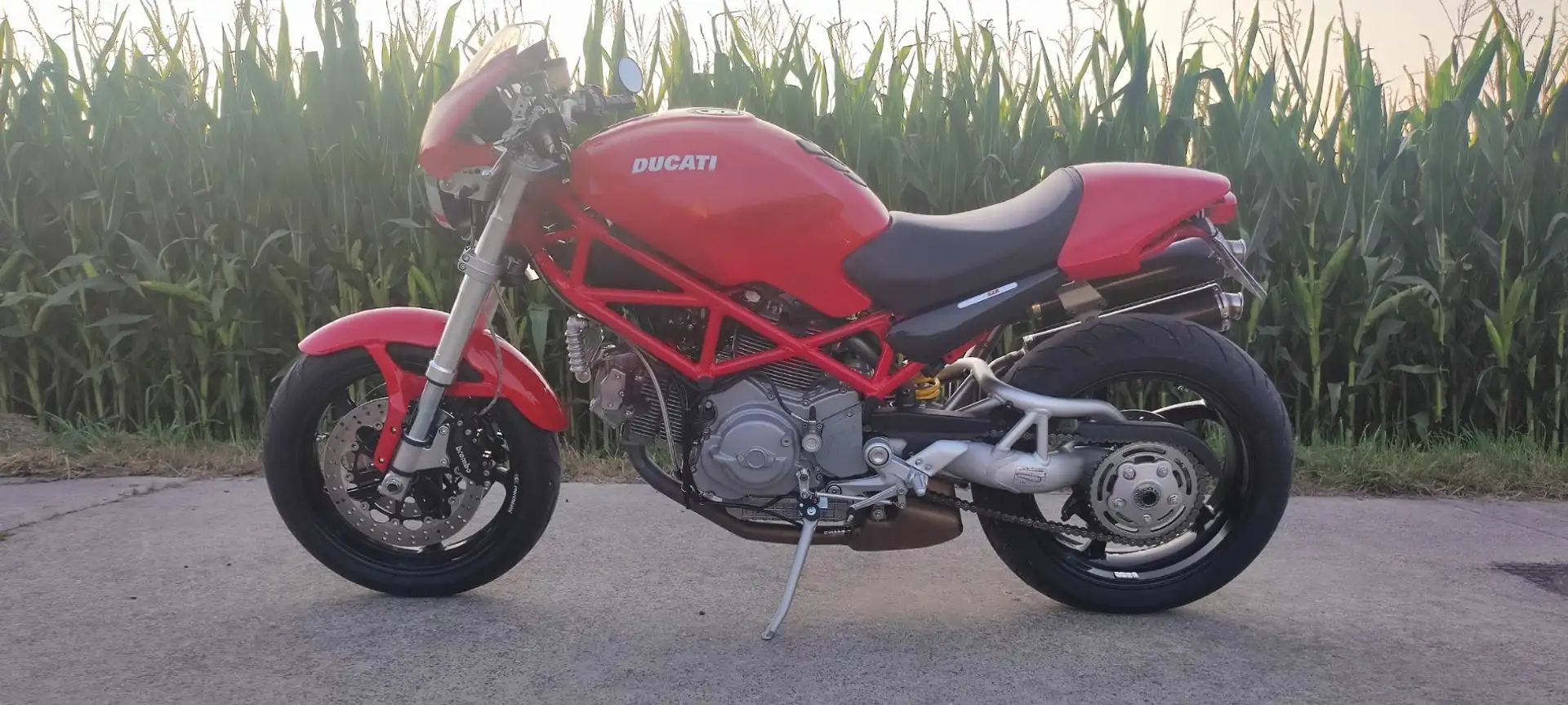 Ducati Monster 1000 S2R 1000 Rouge - 2