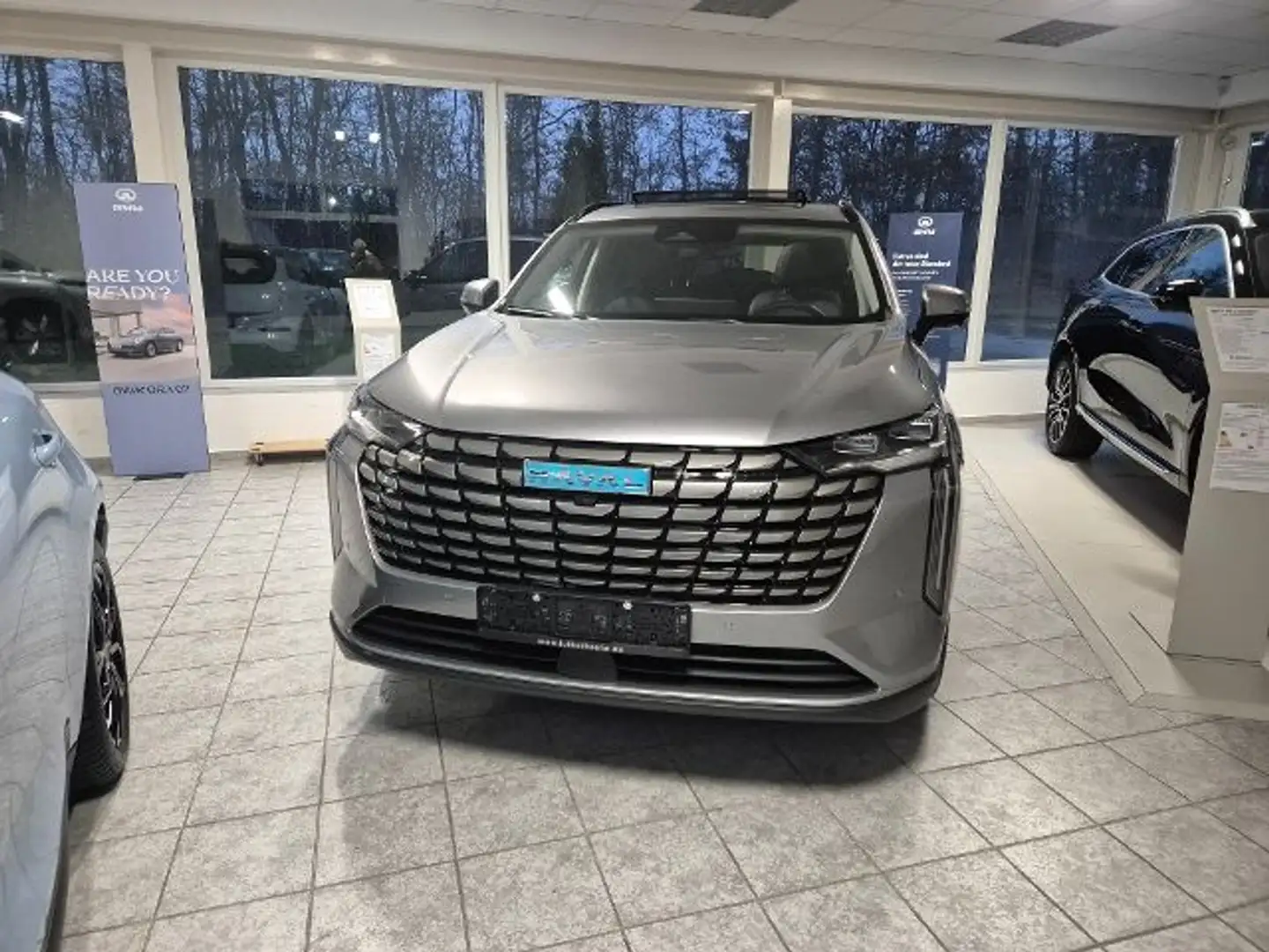 GWM Sonstige Grau - 2