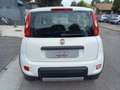 Fiat Panda 0.9 TwinAir Turbo S&S 4x4 Weiß - thumbnail 4