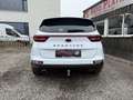 Kia Sportage 1,6 CRDI SCR MHD Black Edition Hybrid. Weiß - thumbnail 6