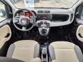 Fiat Panda 0.9 t.air t. natural power Easy 80cv E5+ - thumbnail 6