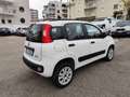 Fiat Panda 0.9 t.air t. natural power Easy 80cv E5+ - thumbnail 5