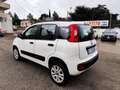 Fiat Panda 0.9 t.air t. natural power Easy 80cv E5+ - thumbnail 4