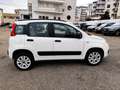 Fiat Panda 0.9 t.air t. natural power Easy 80cv E5+ - thumbnail 2