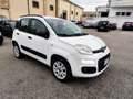 Fiat Panda 0.9 t.air t. natural power Easy 80cv E5+ - thumbnail 12
