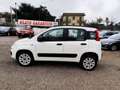 Fiat Panda 0.9 t.air t. natural power Easy 80cv E5+ - thumbnail 3