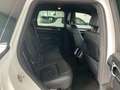Porsche Cayenne 3.0 Diesel 250CV Platinum PREZZO PER COMMERCIANTI Bianco - thumbnail 12