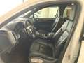 Porsche Cayenne 3.0 Diesel 250CV Platinum PREZZO PER COMMERCIANTI Bianco - thumbnail 6