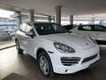 Porsche Cayenne 3.0 Diesel 250CV Platinum PREZZO PER COMMERCIANTI Bianco - thumbnail 3