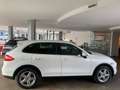 Porsche Cayenne 3.0 Diesel 250CV Platinum PREZZO PER COMMERCIANTI Bianco - thumbnail 5