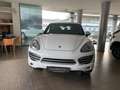 Porsche Cayenne 3.0 Diesel 250CV Platinum PREZZO PER COMMERCIANTI Bianco - thumbnail 2