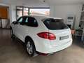 Porsche Cayenne 3.0 Diesel 250CV Platinum PREZZO PER COMMERCIANTI Bianco - thumbnail 4