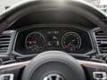 Volkswagen T-Roc 2.0 TDI Sport 4M KAM NAVI AHK KLIMA PDC Silber - thumbnail 11