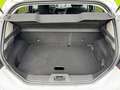 Ford Fiesta 1.0 EcoBoost Start-Stop SYNC Edition guter Zustand Bianco - thumbnail 5
