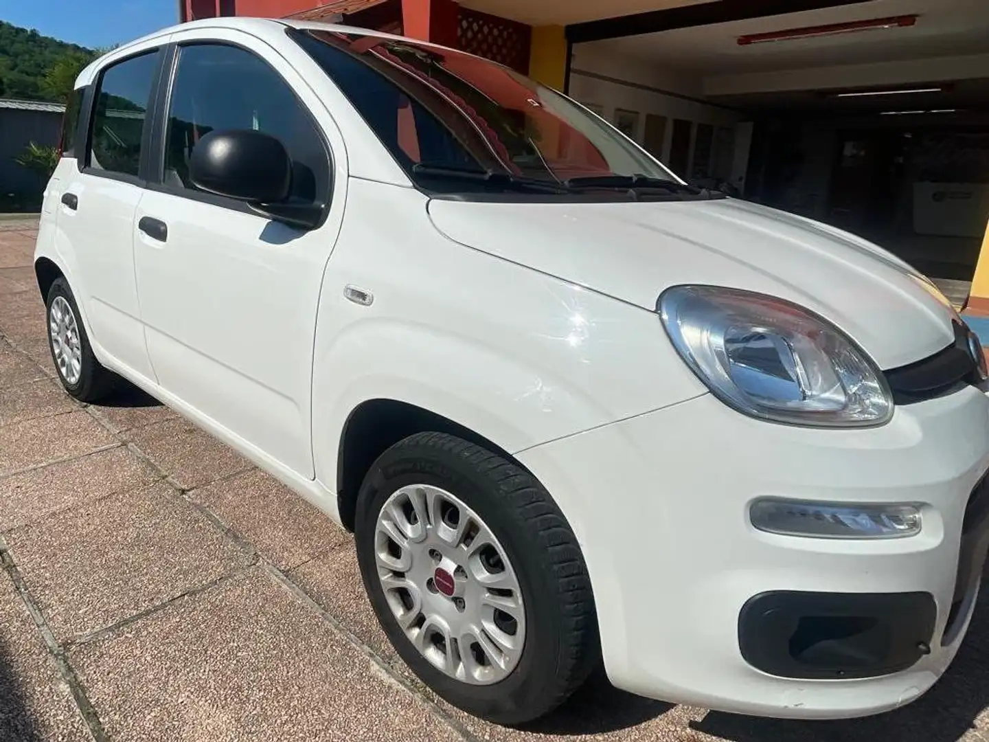 Fiat Panda Panda 1.2 Bianco - 1