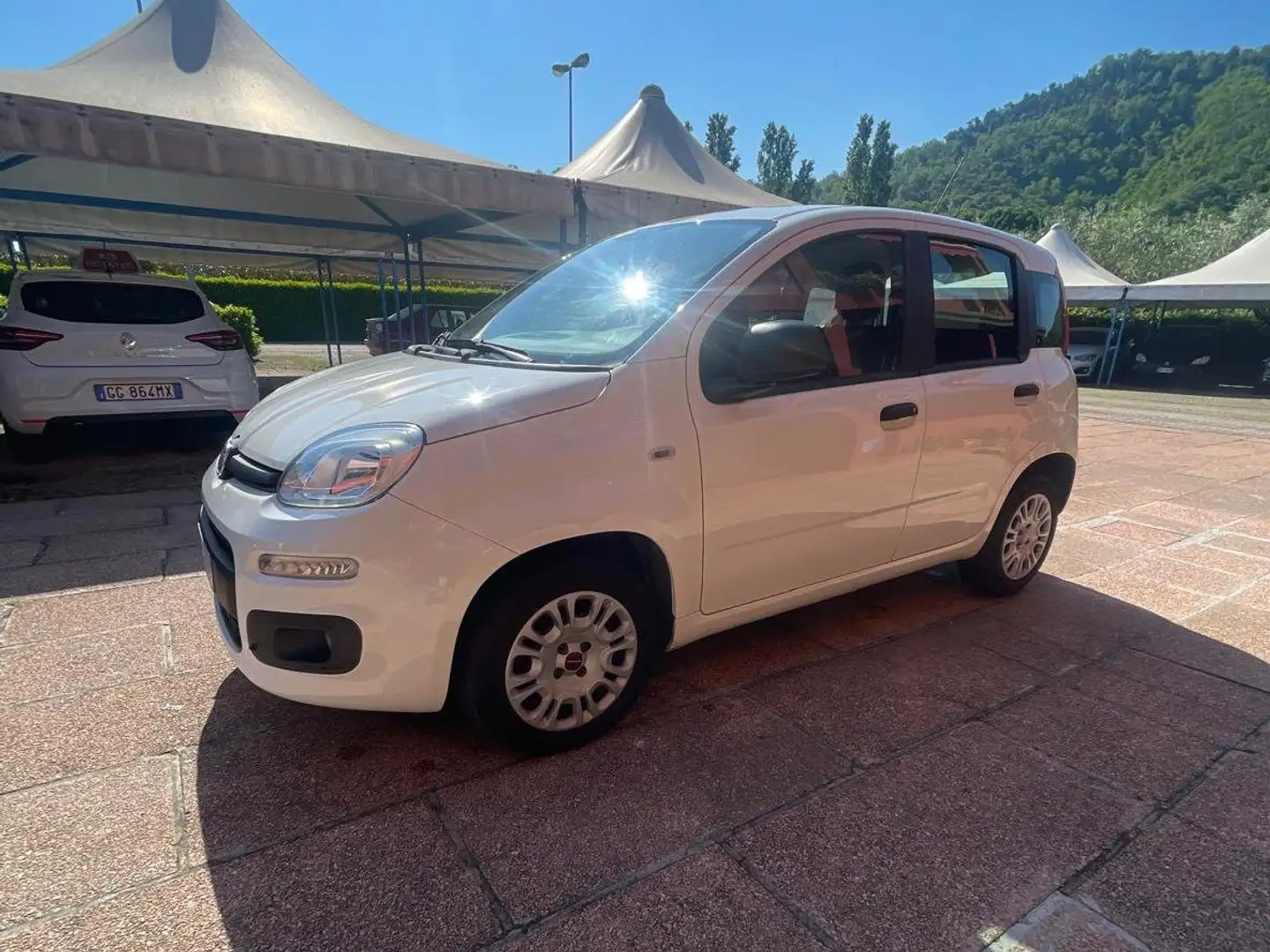 Fiat Panda Panda 1.2 Bianco - 2