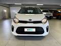 Kia Picanto 1.0 LPG CITY Blanco - thumbnail 6