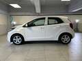 Kia Picanto 1.0 LPG CITY Blanco - thumbnail 2