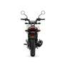 Honda MSX 125 MSX 125 GROM - YM 2026 - thumbnail 4