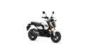 Honda MSX 125 MSX 125 GROM - YM 2026 - thumbnail 2