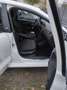 Volkswagen Polo Polo 1.4 TDI SOUND Weiß - thumbnail 8