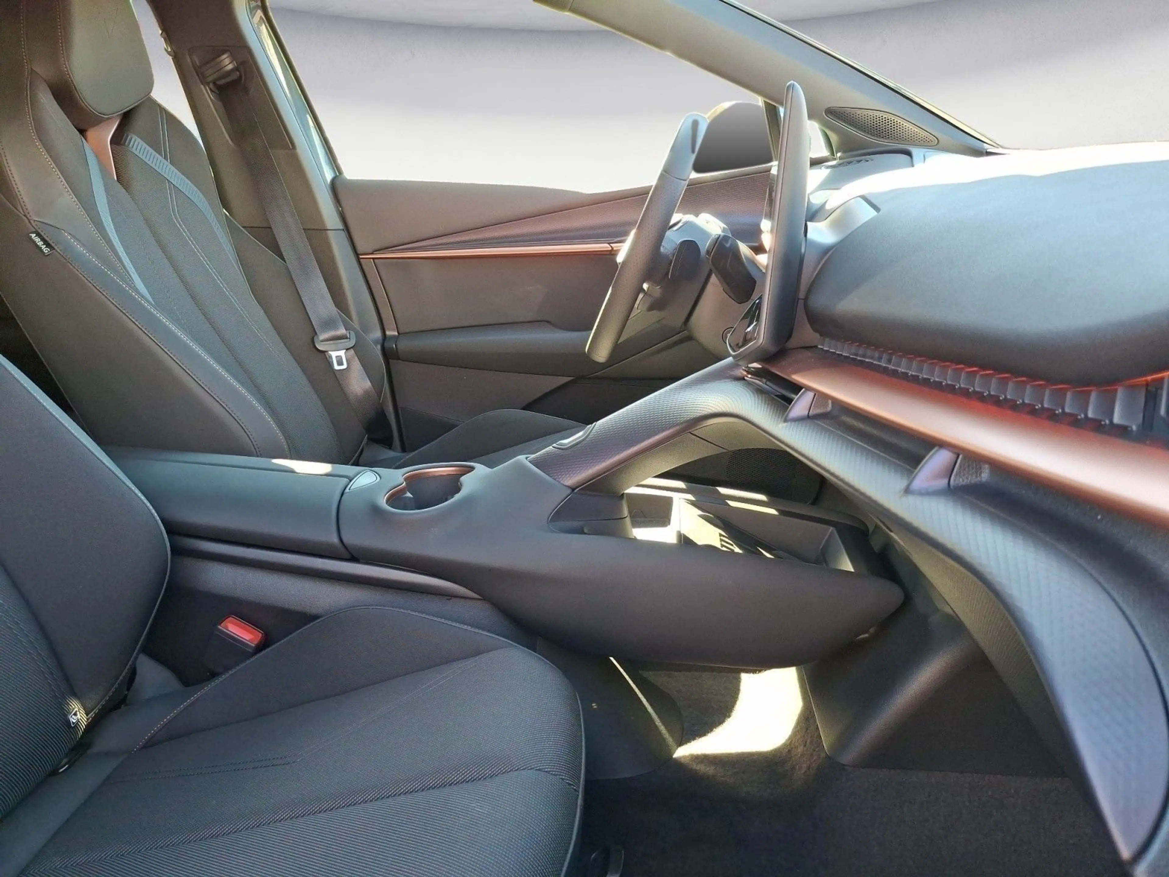 CUPRA Tavascan Endurance — photo 13