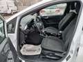 Ford Fiesta ST-Line 1,0 EcoBoost ST-Line Weiß - thumbnail 8