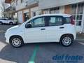 Fiat Panda III 1.2 8v 69Cv asy AUTOCARRO 4 POSTI Weiß - thumbnail 2