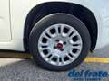 Fiat Panda III 1.2 8v 69Cv asy AUTOCARRO 4 POSTI Weiß - thumbnail 19