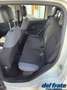 Fiat Panda III 1.2 8v 69Cv asy AUTOCARRO 4 POSTI Weiß - thumbnail 13