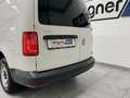 Volkswagen Caddy Maxi Kastenwagen Entry 2,0 TDI.Sortimo/Kl... Weiß - thumbnail 10