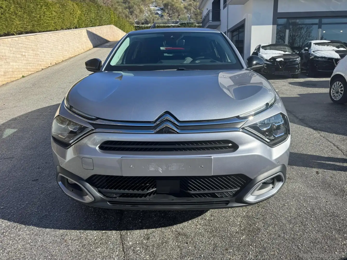 Citroen C4 PureTech 130 S&S Max Grigio - 2