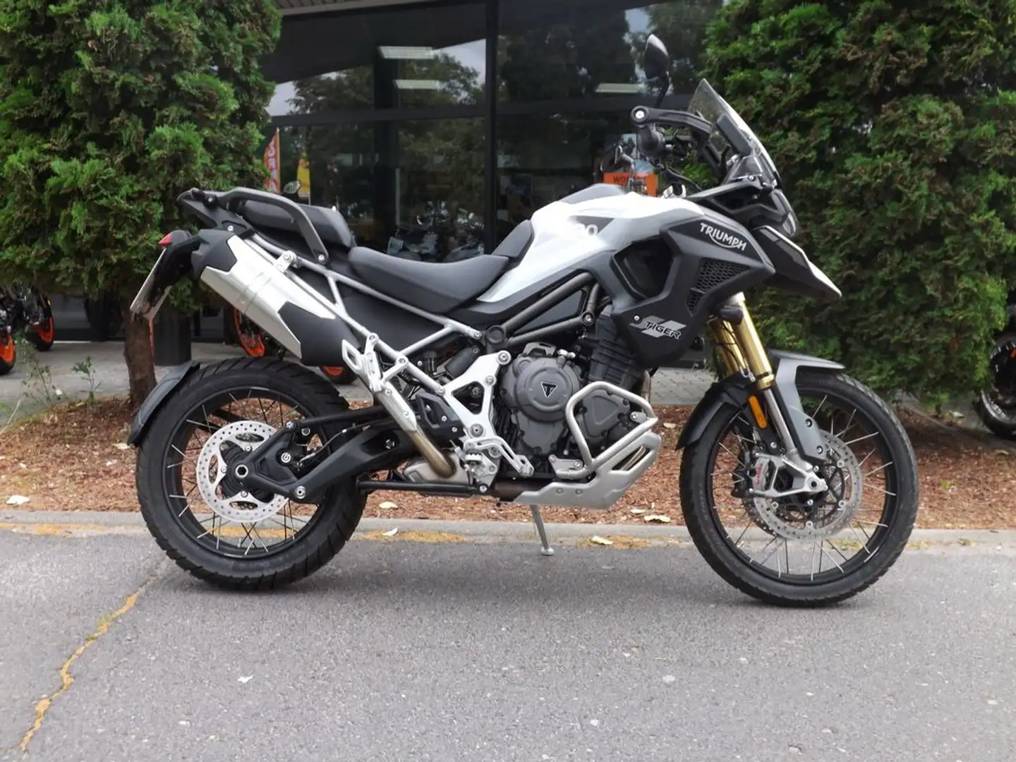 Triumph Tiger 1200 RALLY PRO Inkl.2000€ Preisvorteil Alb - 2