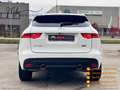 Jaguar F-Pace 3.0 D V6 300 CV AWD aut. R-Sport Blanc - thumbnail 4