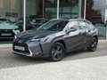 Lexus UX 250h HYBRID +LEDER +Zetelverwarming +Dodehoek +GPS Grijs - thumbnail 2