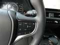 Lexus UX 250h HYBRID +LEDER +Zetelverwarming +Dodehoek +GPS Grijs - thumbnail 15